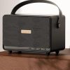 Havit SK906BT Classic II Retro Home wireless Speaker